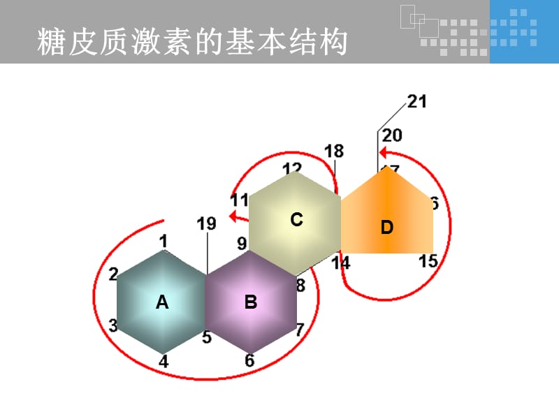 氟轻松是如何发挥其药理作用的？
